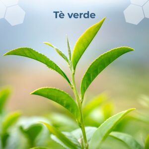 Tè verde